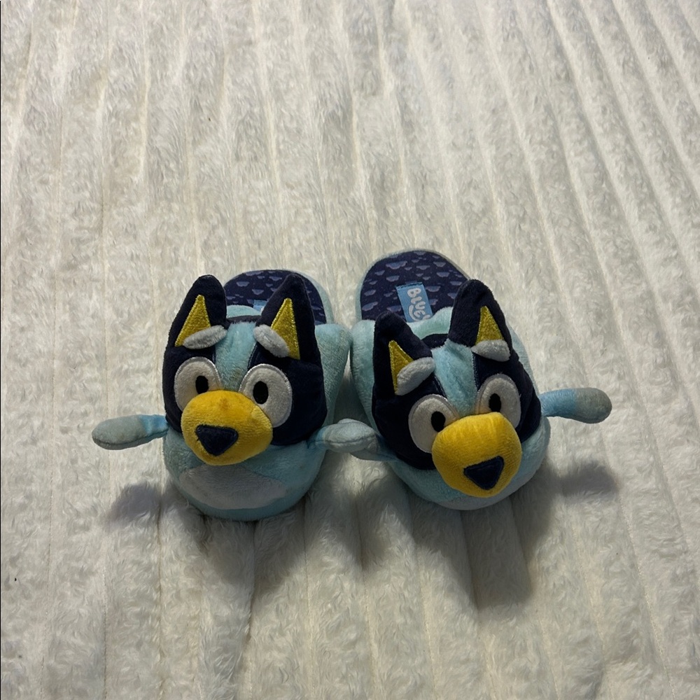 Bluey Character Slippers